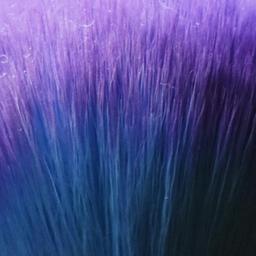 The Forever Bond Wedding Package